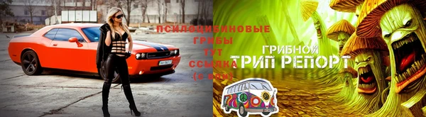 бутират Алексеевка