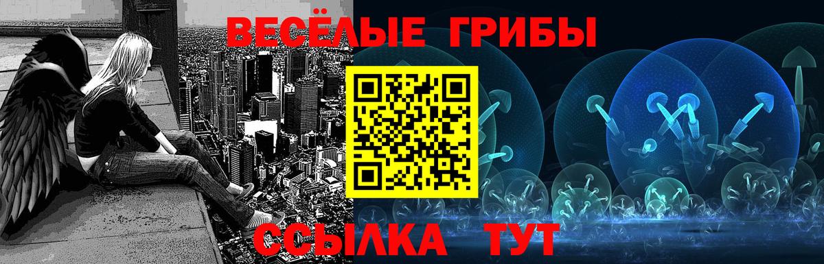 Галлюциногенные грибы Cubensis Ленинск-Кузнецкий