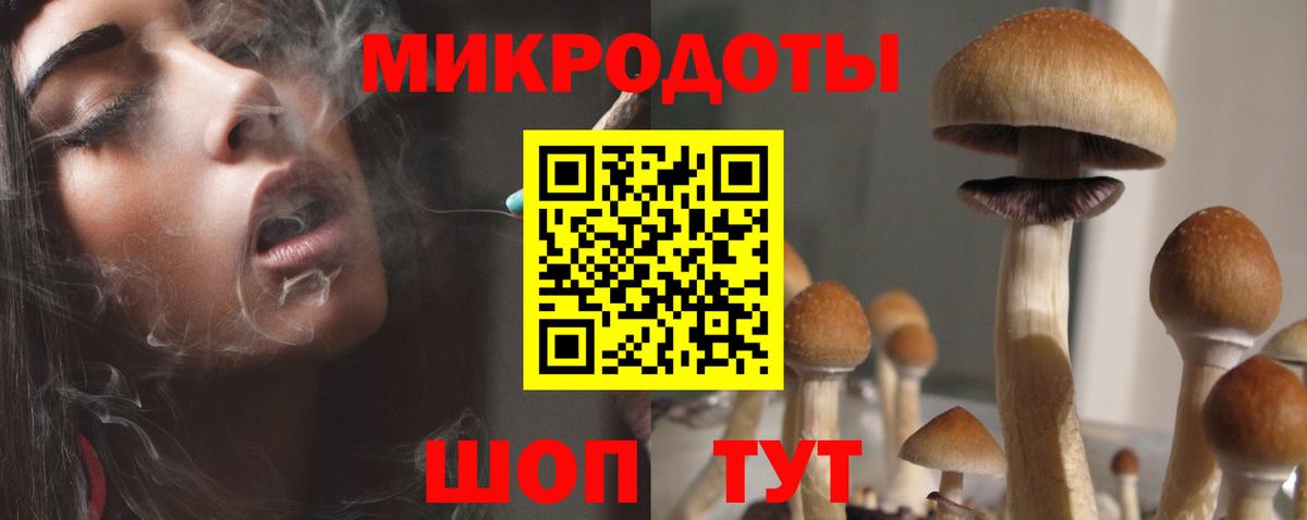 Ленинск-Кузнецкий  Псилоцибиновые грибы GOLDEN TEACHER  Вход с VPN 