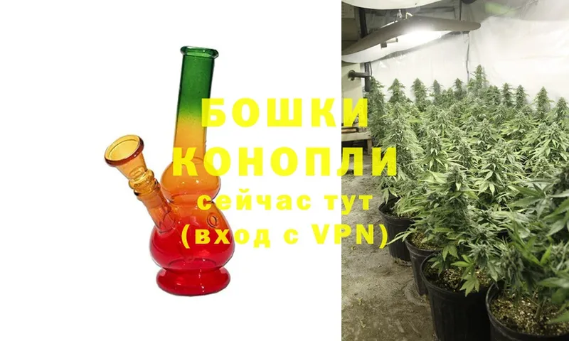 даркнет сайт  Ленинск-Кузнецкий  Шишки марихуана Ganja 